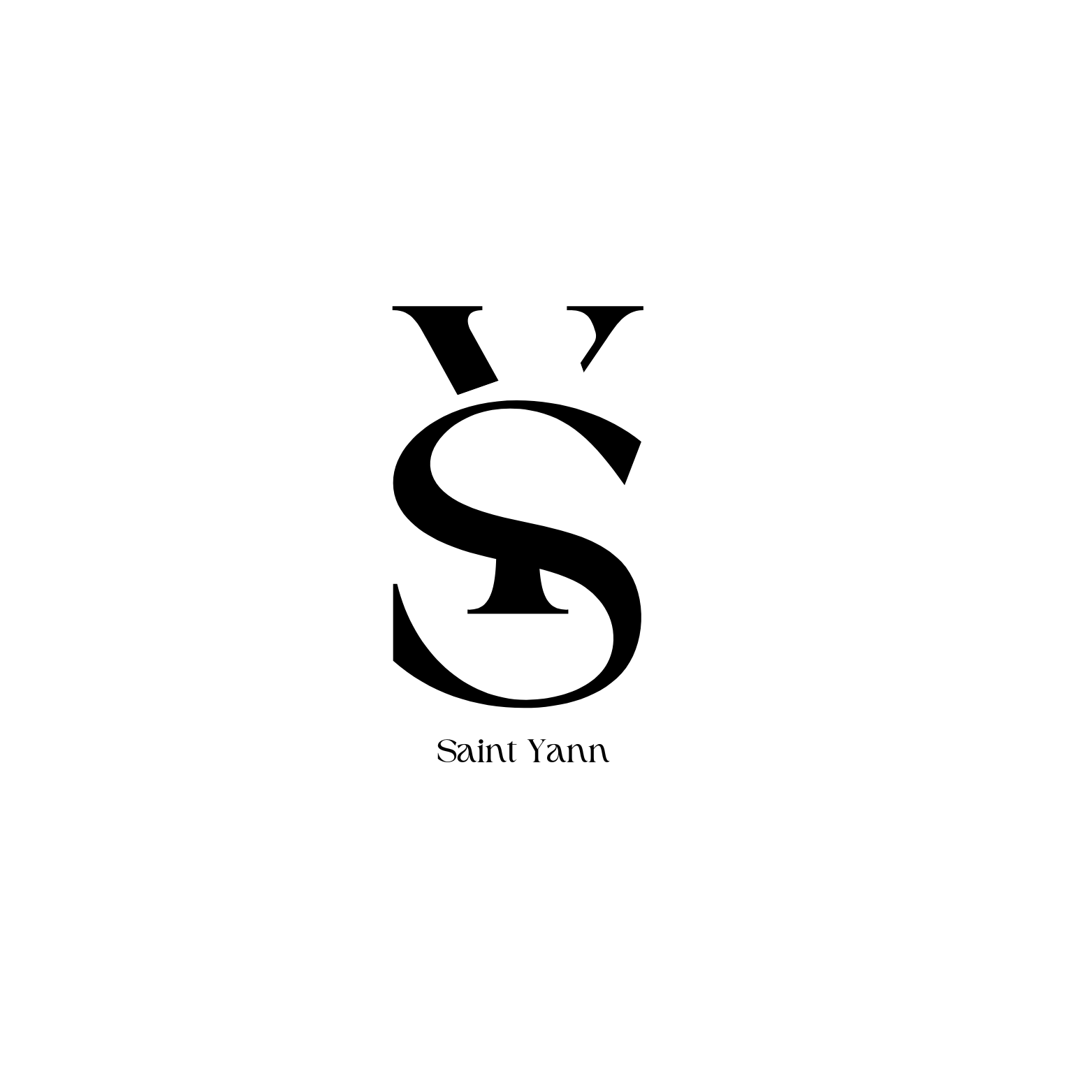 Logo SAINT YANN